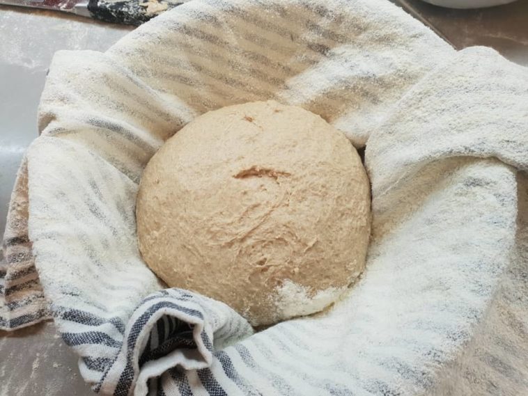 Why does my spelt bread not rise?