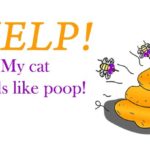 Why does my urine smell like poop?