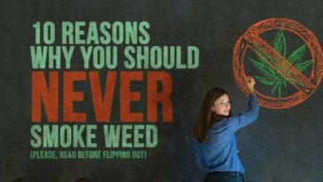 Why is Bisquick bad?