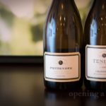 Why is Pinot Noir white?