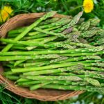 Why is asparagus bad for you?