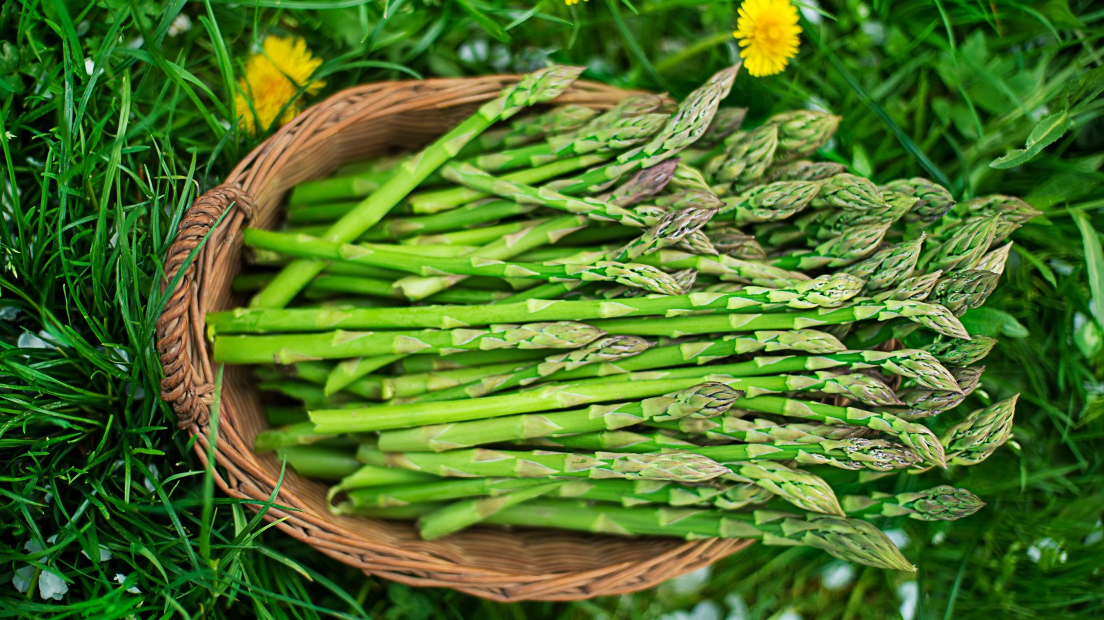 Why is asparagus bad for you?