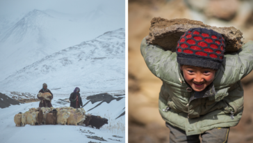 Why is barramundi so expensive?