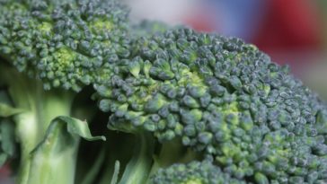 Why is broccoli bad for you?