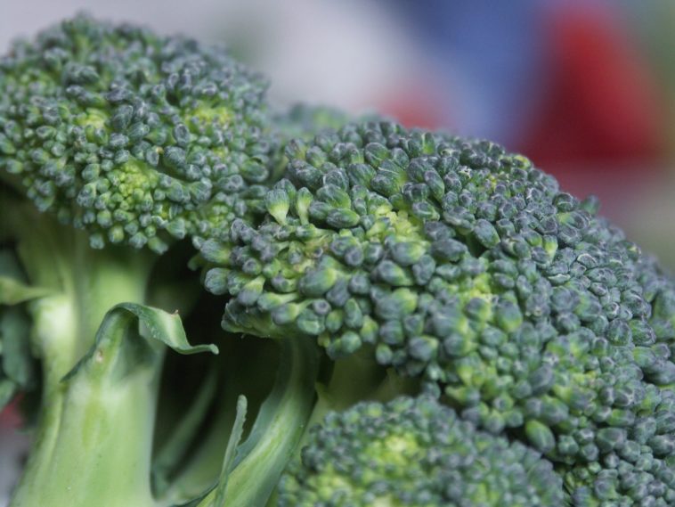 Why is broccoli bad for you?