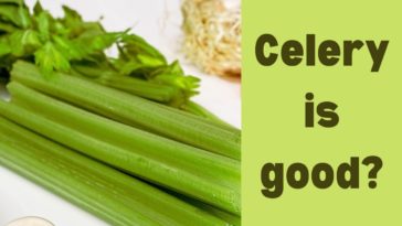 Why is celery not good for you?