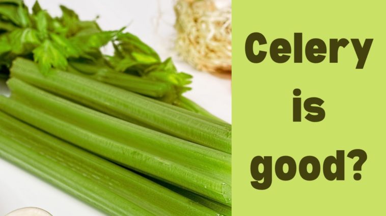 Why is celery not good for you?