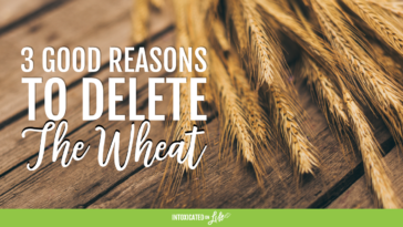 Why is cream of wheat bad for you?