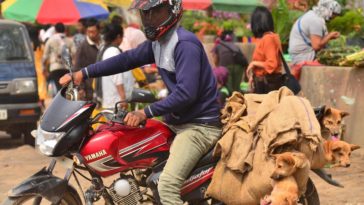 Why is deer meat banned in India?