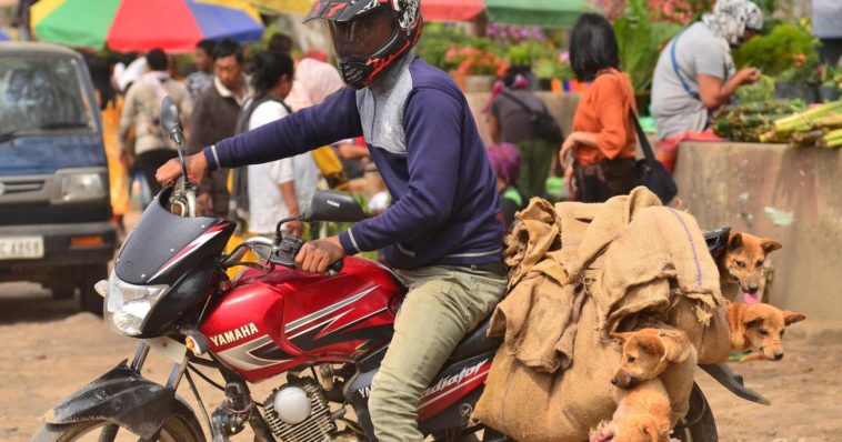 Why is deer meat banned in India?