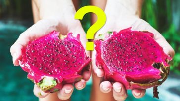Why is dragon fruit called Pitaya?