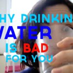 Why is eggnog so bad for you?