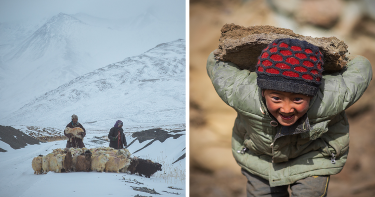 Why is fennel so expensive?