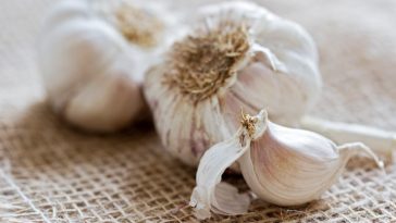 Why is garlic bad for IBS?