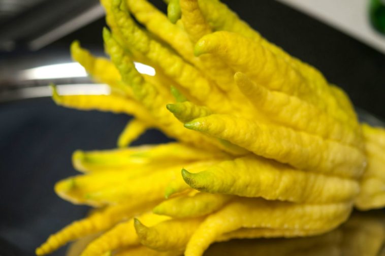 Why is it called Buddhas hand?
