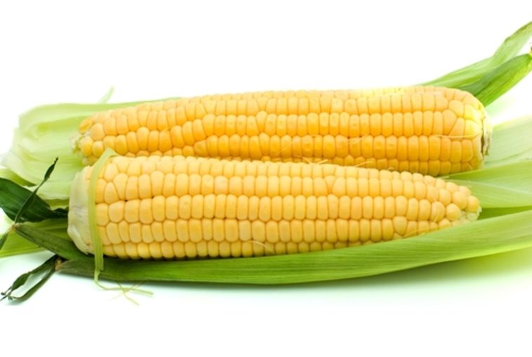 Why is it called an ear of corn?