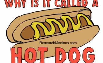 Why is it called hot dog?