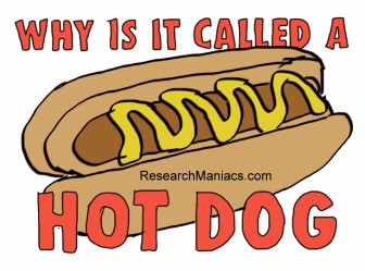 Why is it called hot dog?