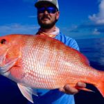 Why is red grouper expensive?