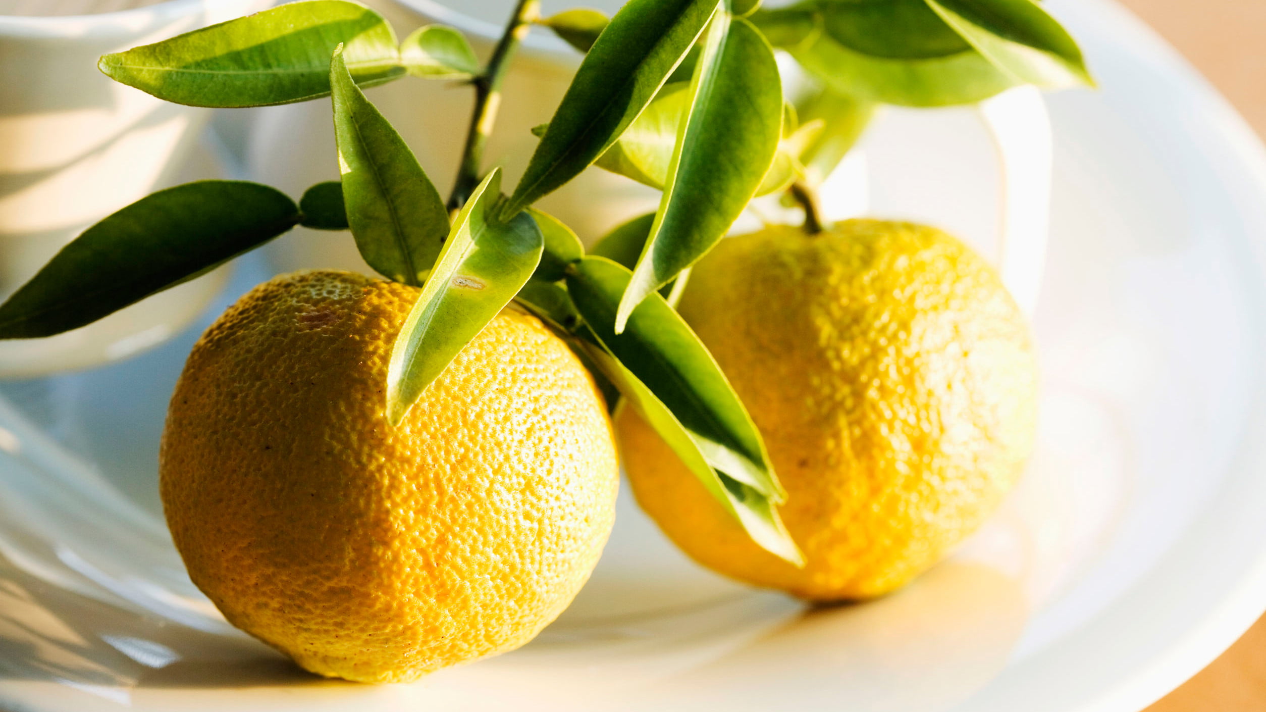 what-is-yuzu-and-common-ways-to-use-yuzu
