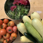 Why is zucchini not good for you?