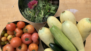 Why is zucchini not good for you?