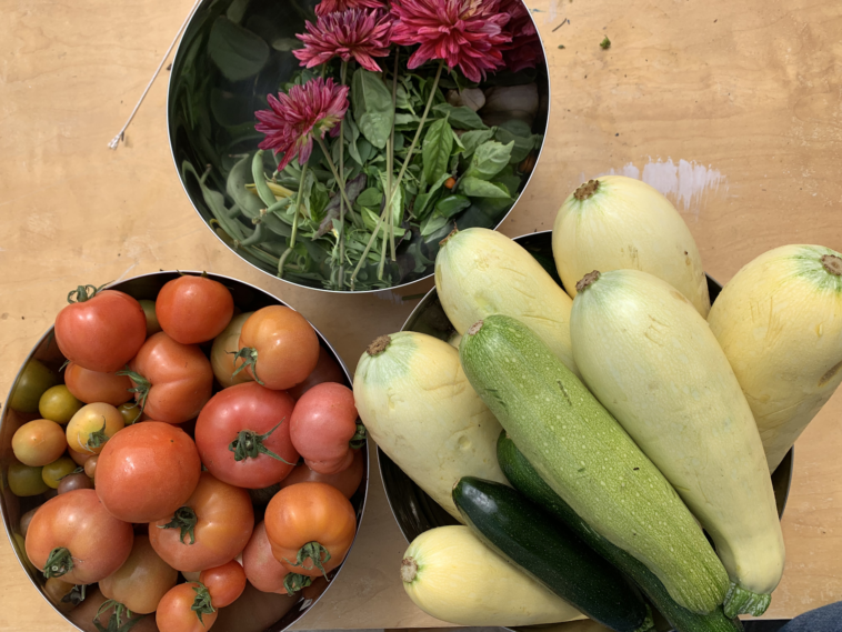 Why is zucchini not good for you?