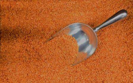 Why masoor dal is prohibited?