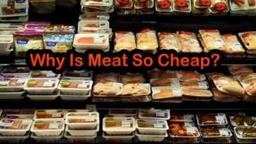 Why meat is so cheap at Costco?
