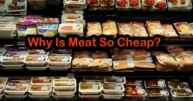 Why meat is so cheap at Costco?