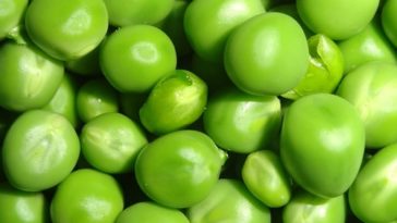 Why peas are bad for you?