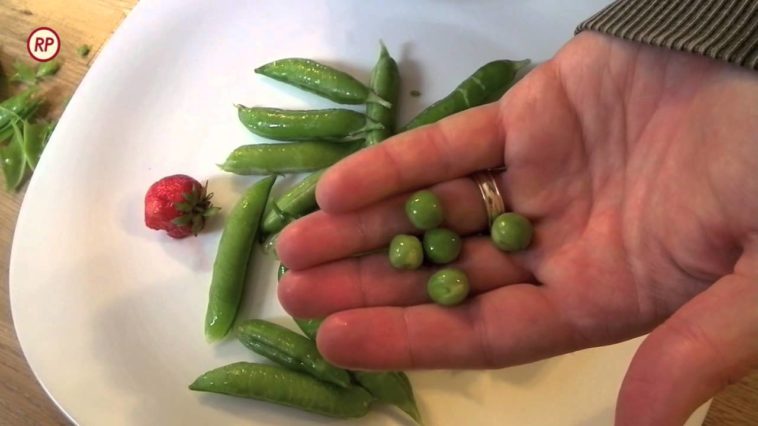 Why should you not eat raw peas?