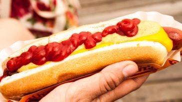 Why you should never eat hot dogs?