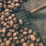 Why you should not eat potato skins?