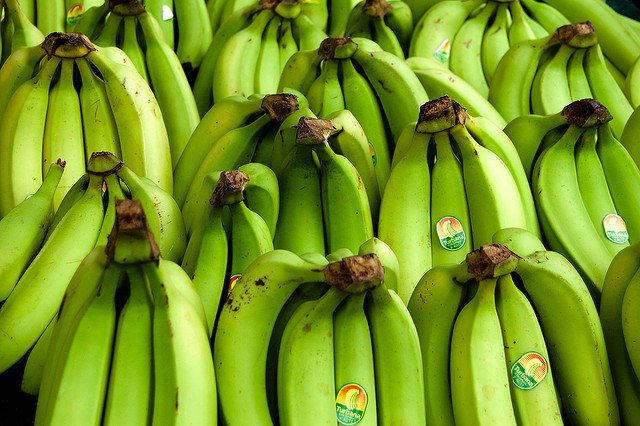 Why you should not refrigerate bananas?