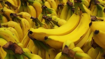 Why you shouldn't put bananas in the fridge?