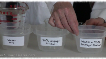 Will 15% alcohol freeze?