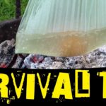 Will a Ziplock bag melt in boiling water?