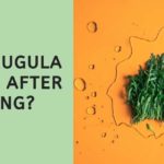 Will arugula regrow after cutting?