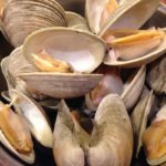 Will clams die in tap water?