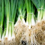 Will spring onions grow into onions?