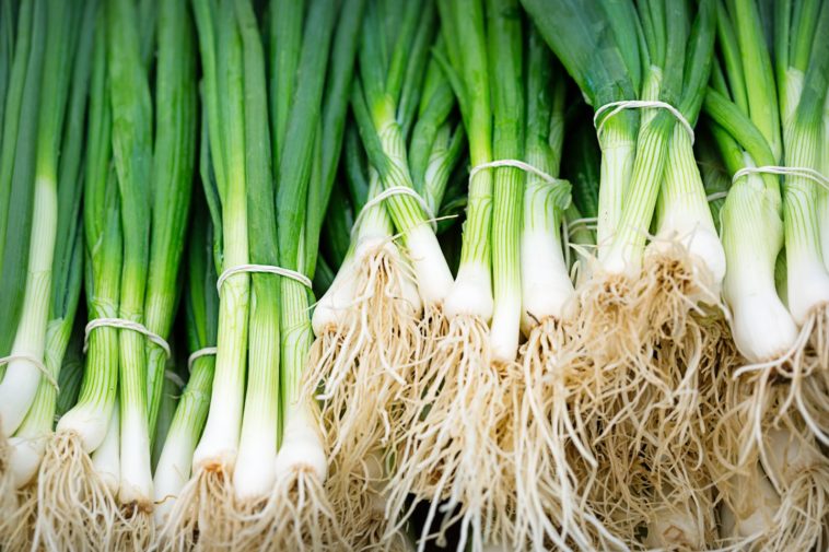 Will spring onions grow into onions?