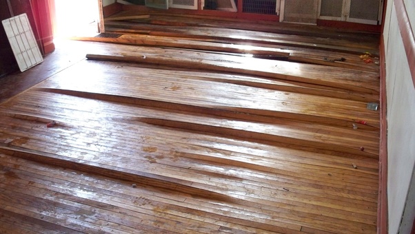 Will Warped Floors Go Back To Normal, How To Straighten Bowed Hardwood