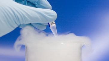 Yumurta Çılbırı nasıl yapılıyor?