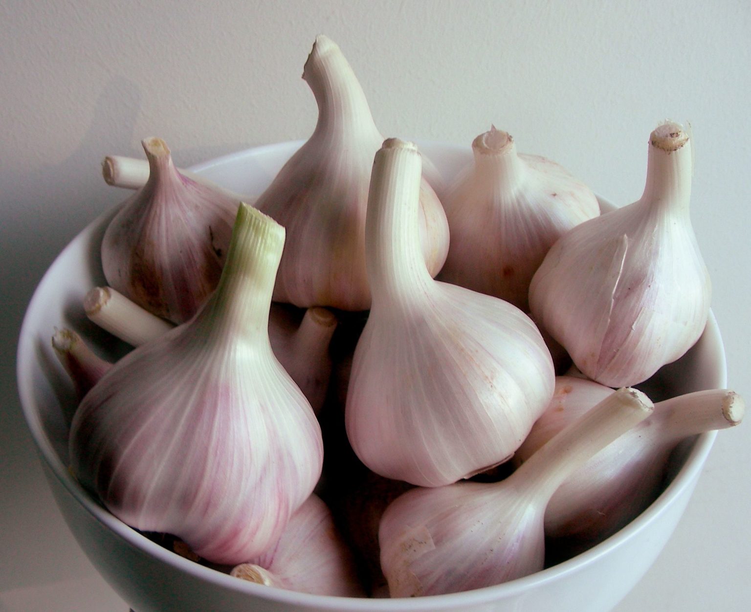 What is a garlic clove definition?