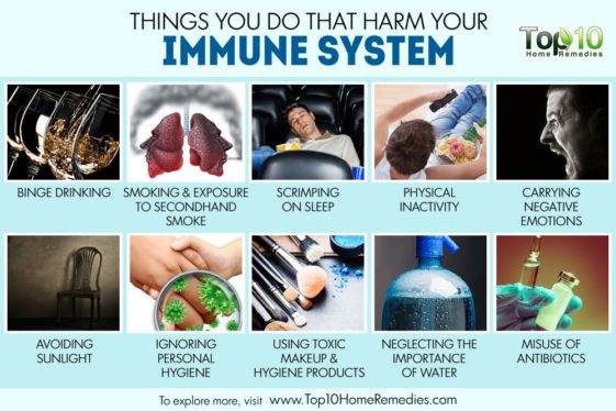 at-what-age-does-your-immune-system-weaken