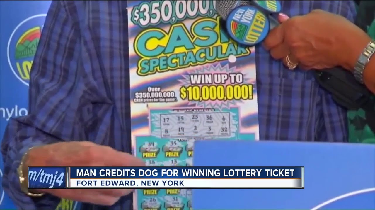 Are Slim Jims OK for dogs?