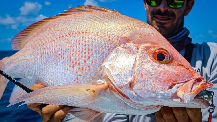 What is the best fish to eat in Hawaii?