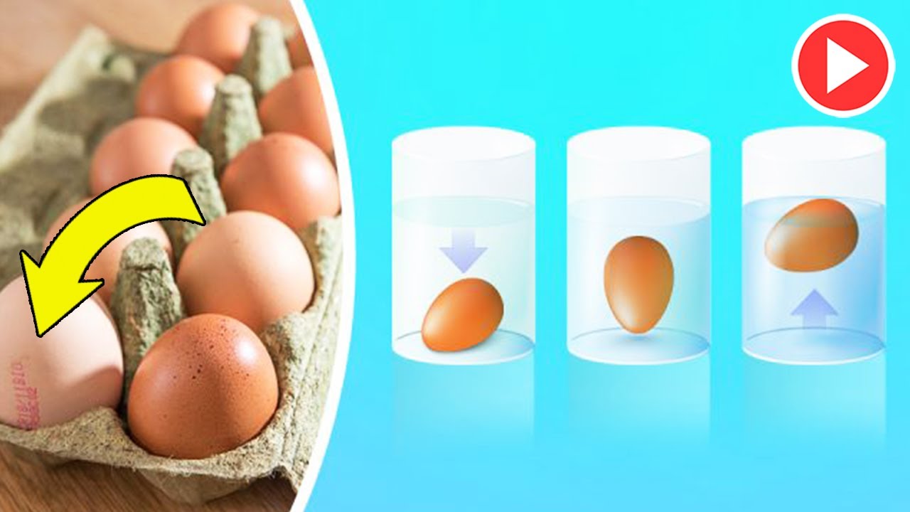 Как получить сильнейшее яйцо. Прелые яйца. Просроченные яйца. Тухлое яйцо. Варёные просроченные яйца.