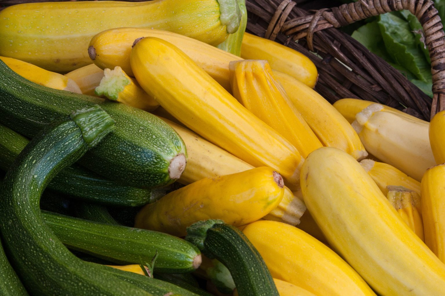 Can I freeze raw yellow squash?